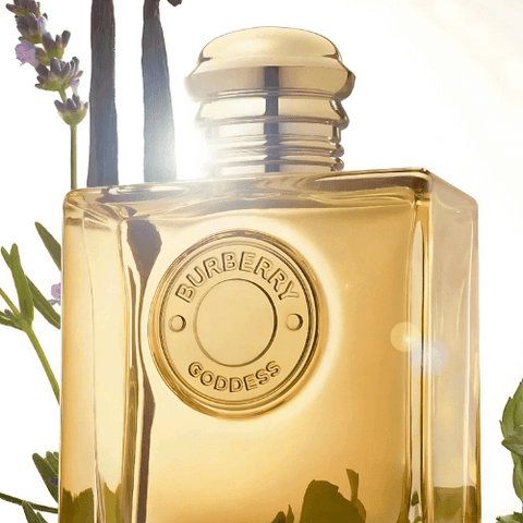 Burberry - Perfumes - Ufemme