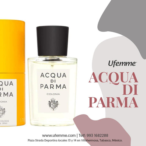 Nuestras recomendaciones